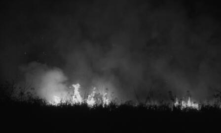 Mientras Anochece Mientras Anochece